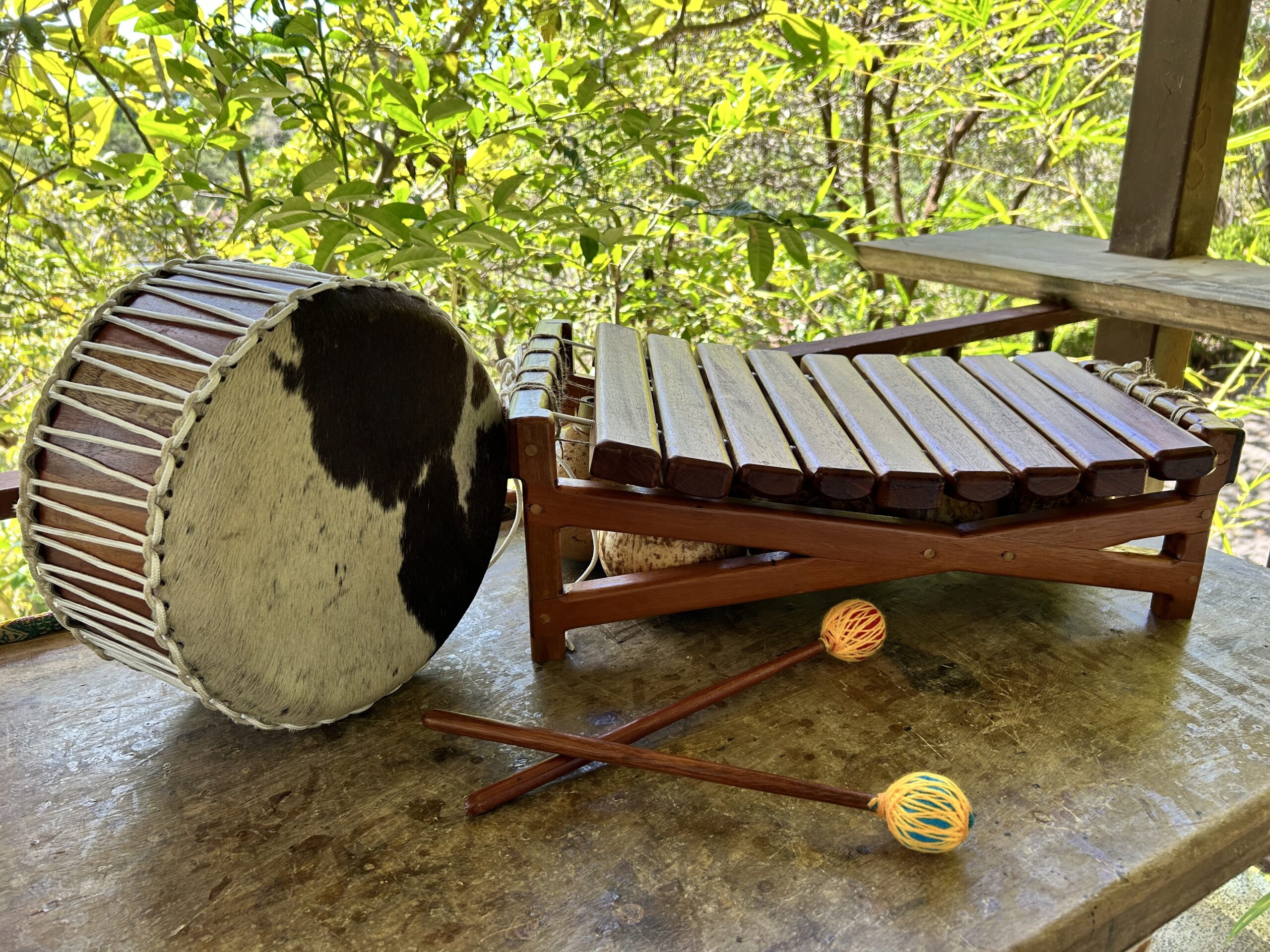 Handcrafted instrument