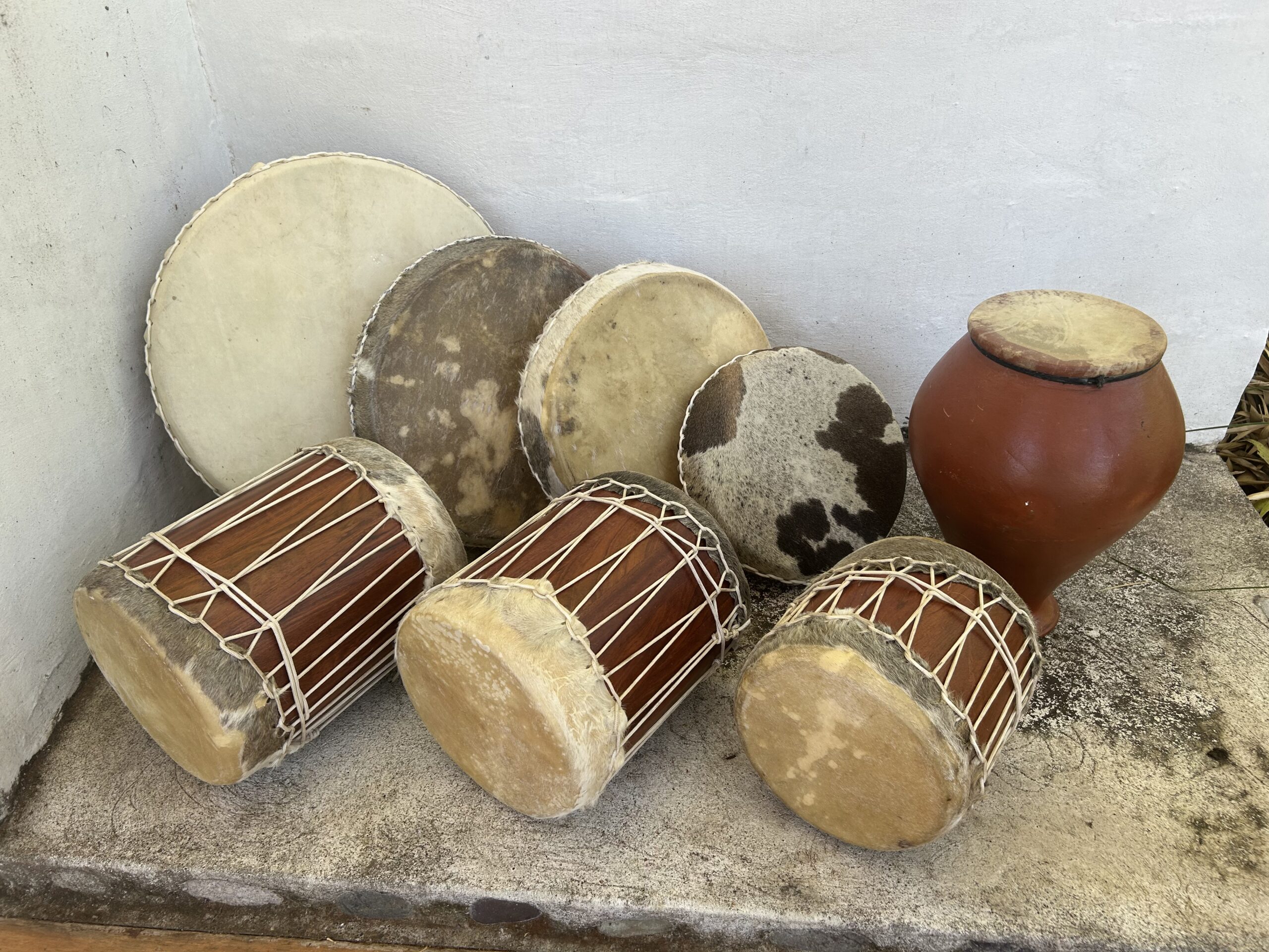 Instrument Showcase