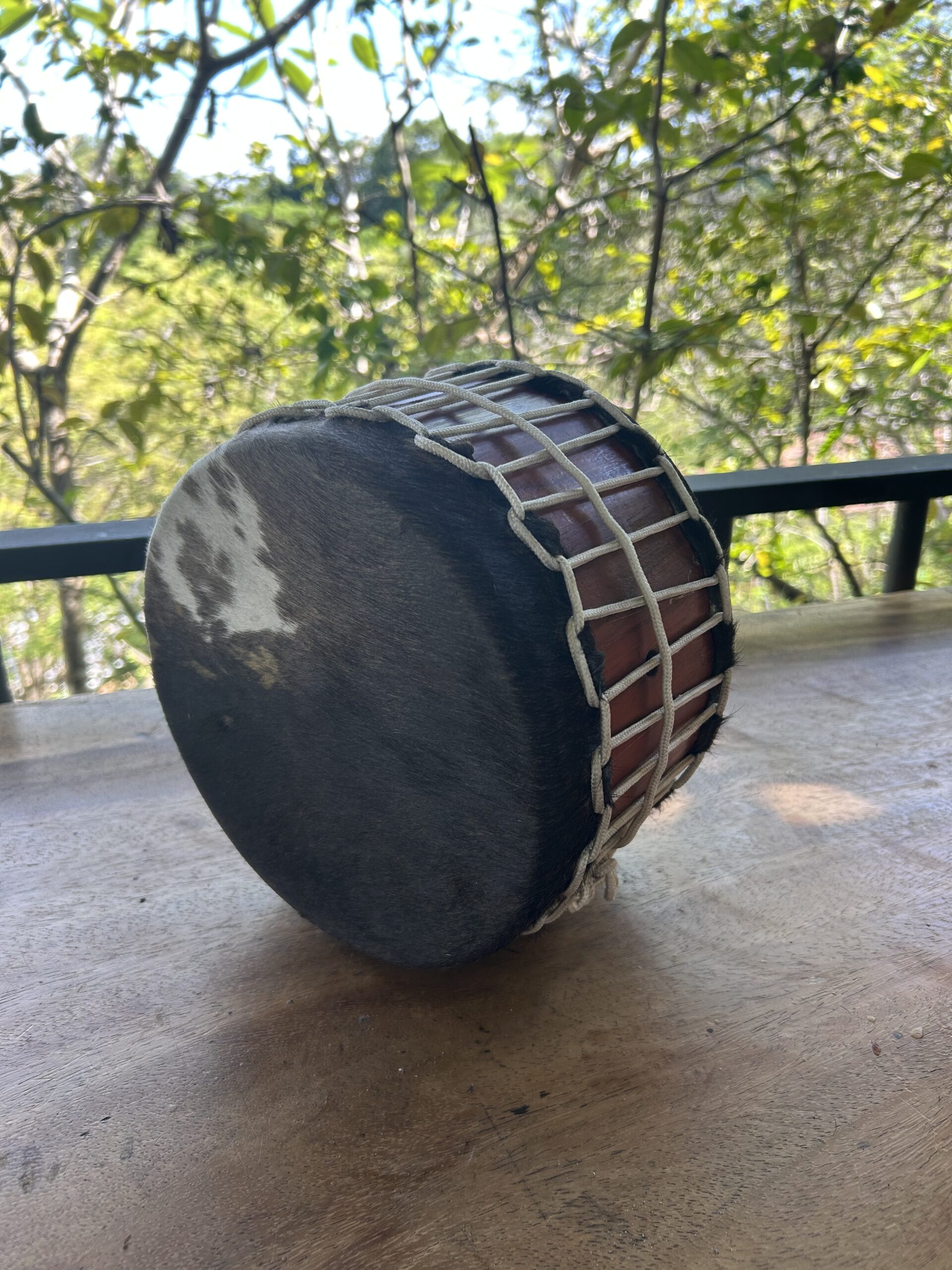 Small Sweat Lodge Drum by Nixiwaka