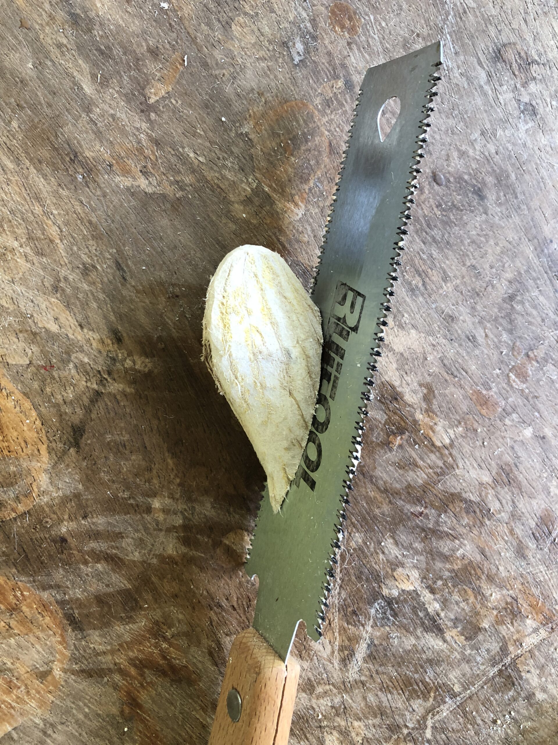 Mango seeds