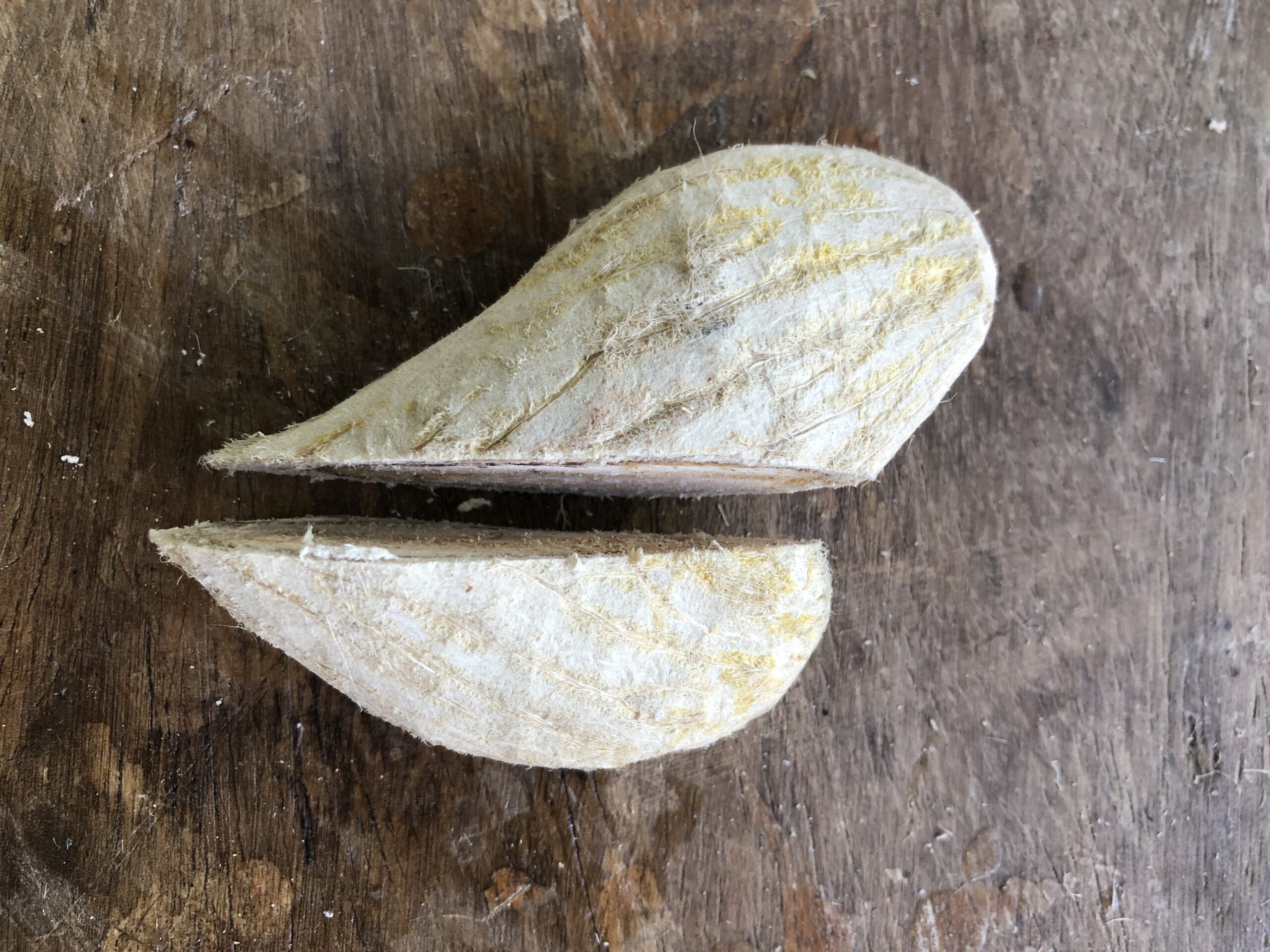 Preparing the seed