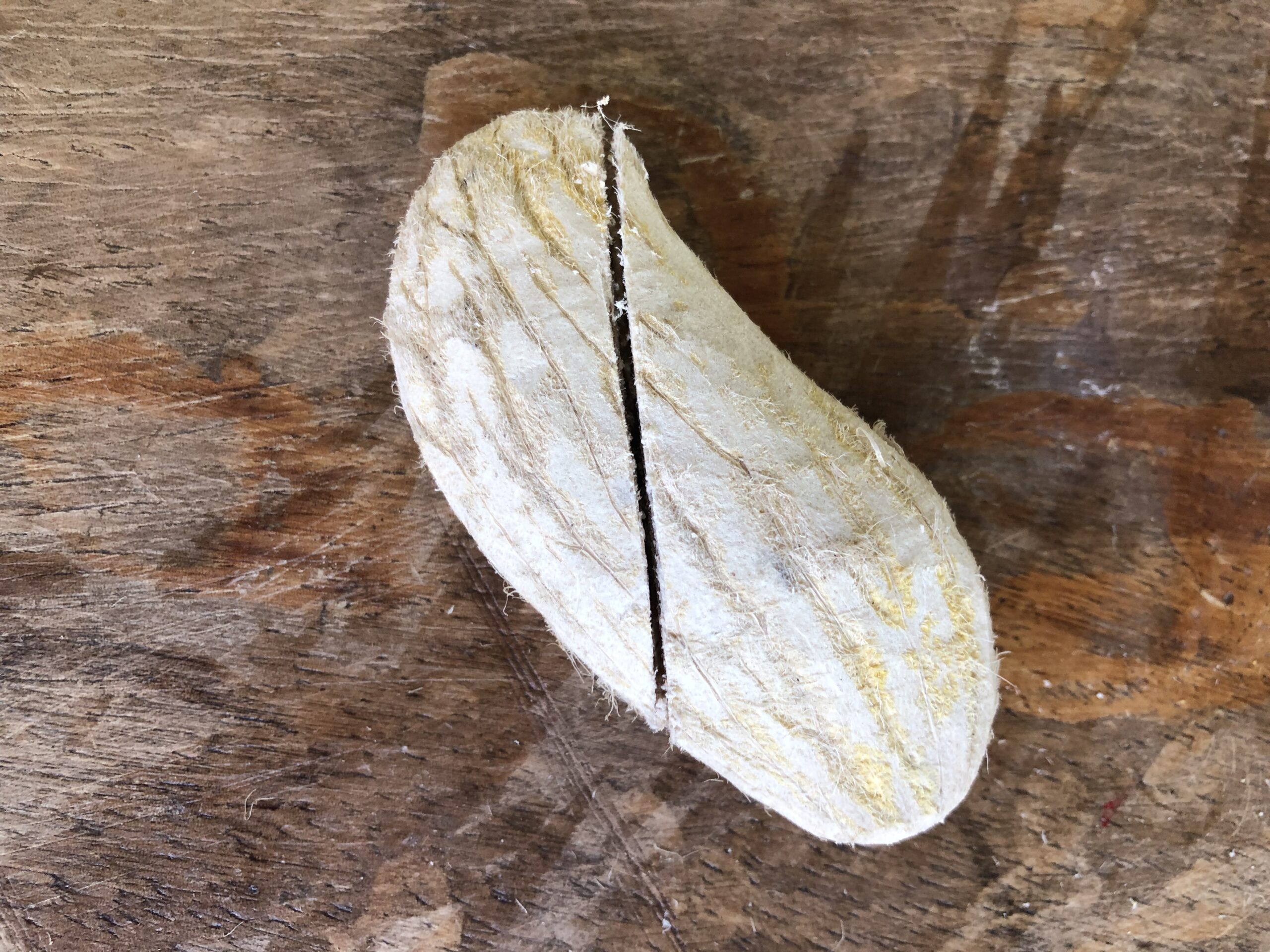 Mango seeds