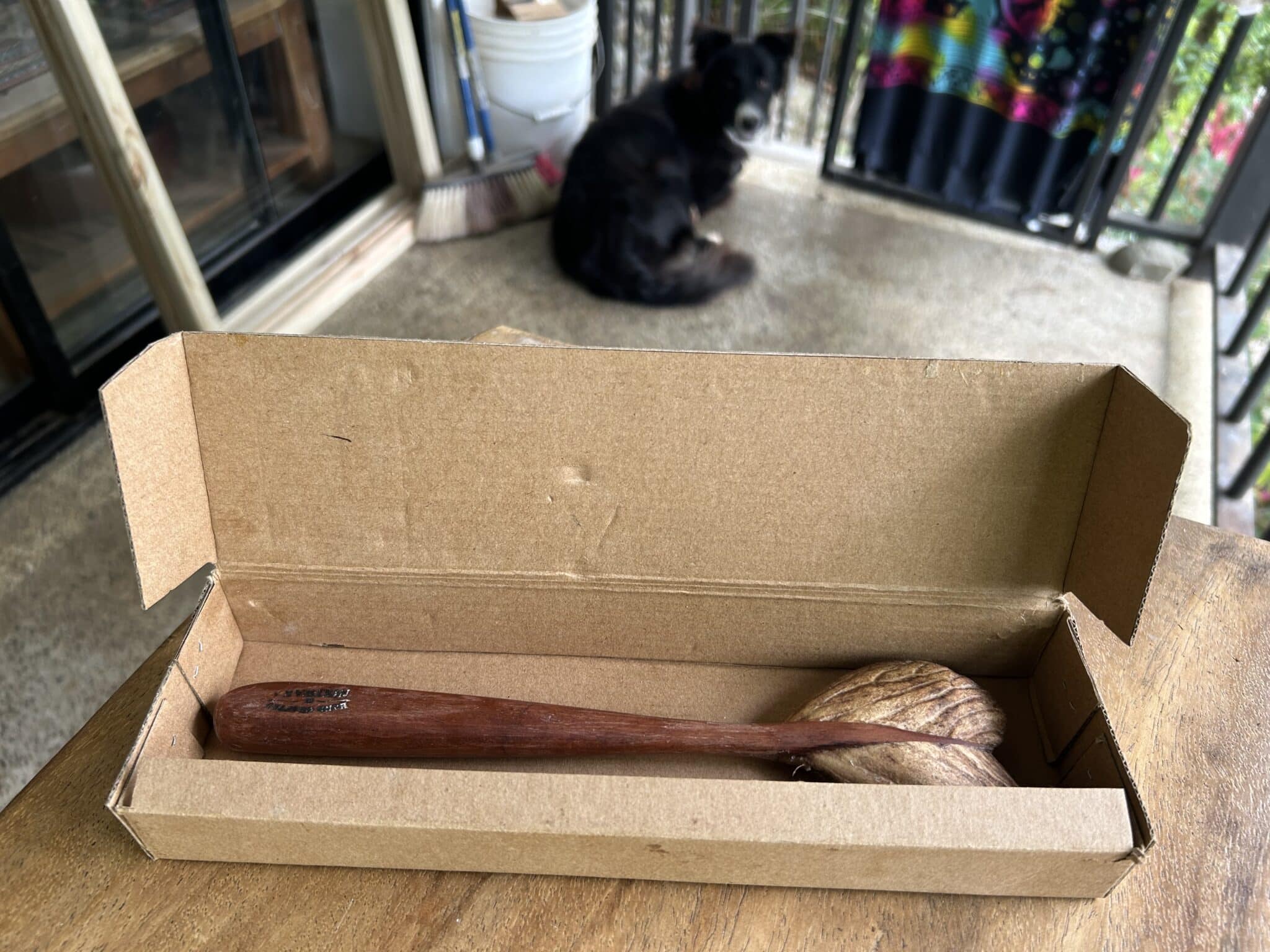 Maraca in its shipping box