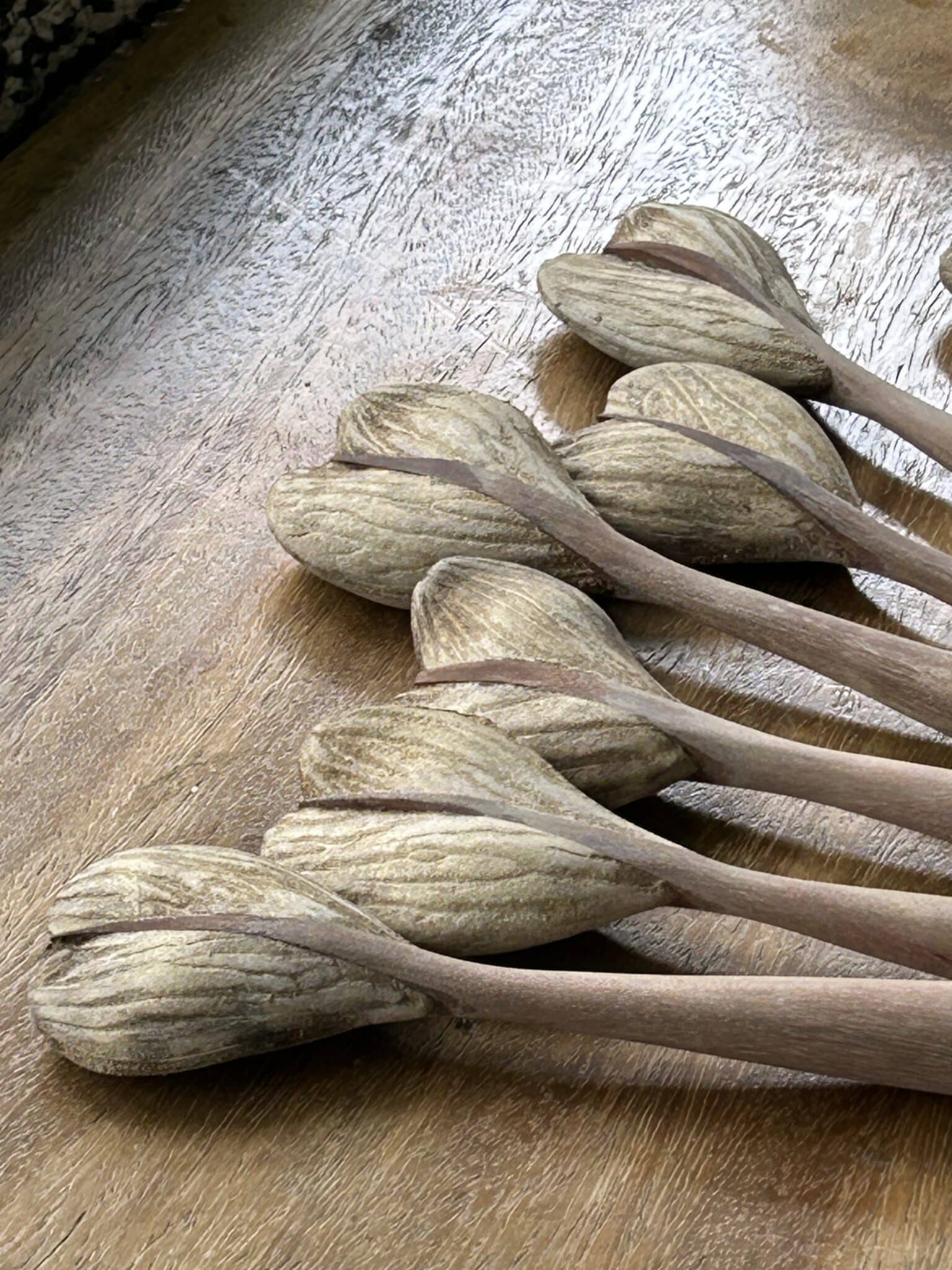 A row of unfinished maracas fanned out on the bench