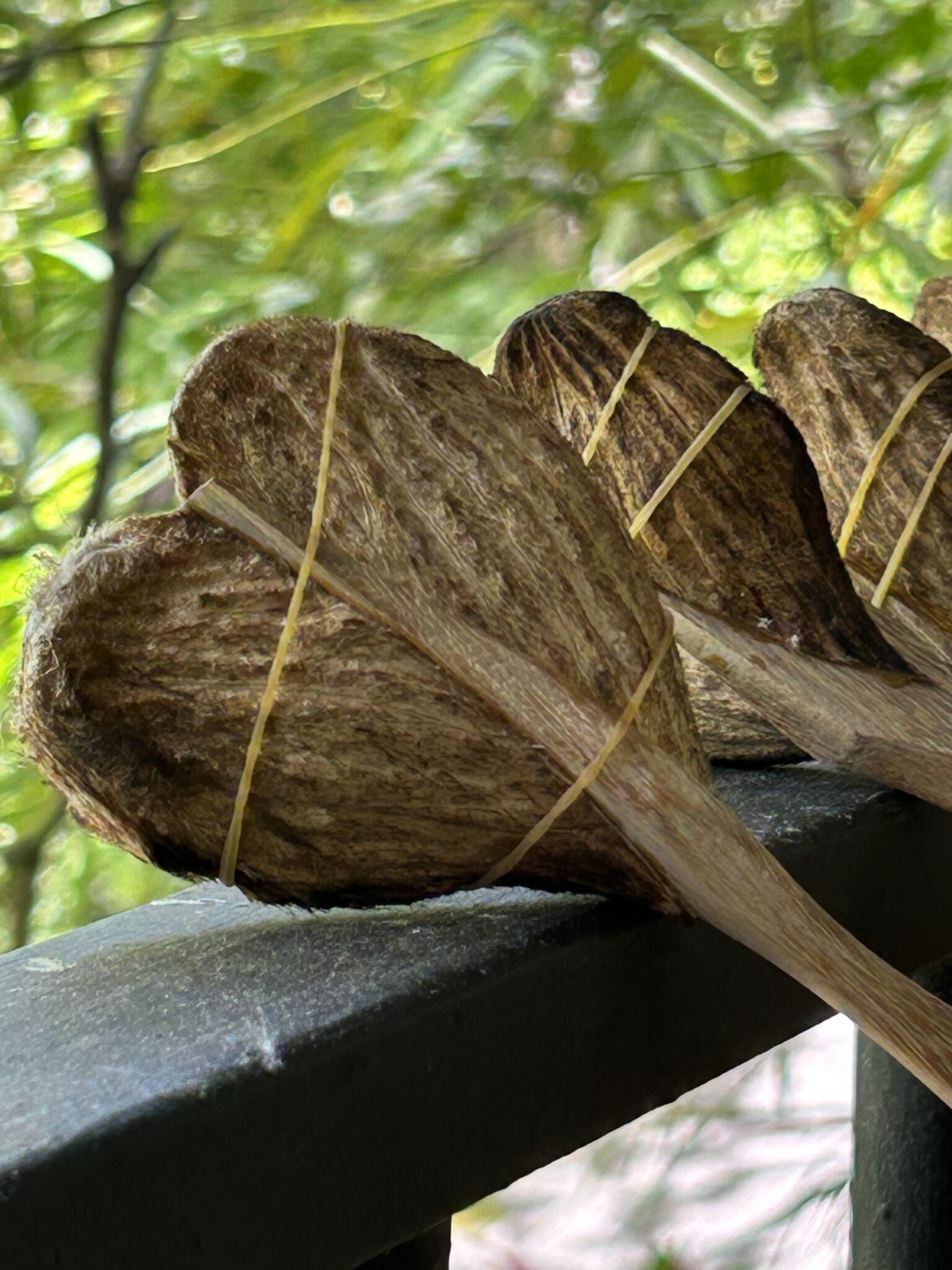 Maracas with elastic bands resting on a railing with green foliage