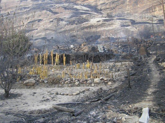 Aftermath of the fire
