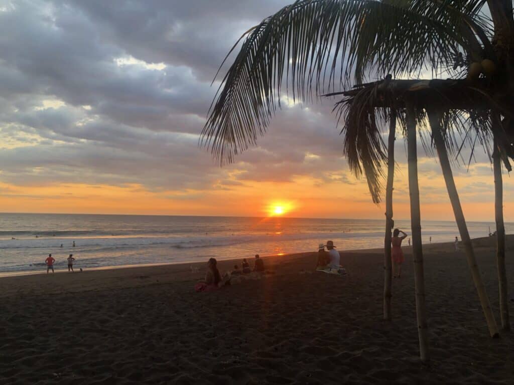 Sunset through the palms